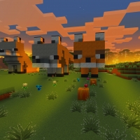 Minecraft Fox in a Field, Sunset in Minecraft, Pixel Animals in RealmCraft #freeminecraft clone