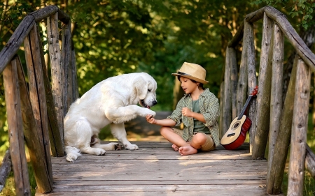 Friends - boy, dog, Labrador Retriever, friends