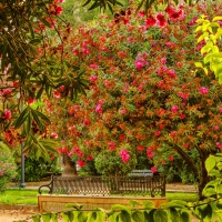 Garden in Seville, Spain