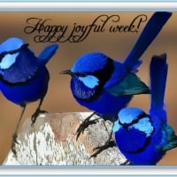 HAPPY JOYFUL WEEK