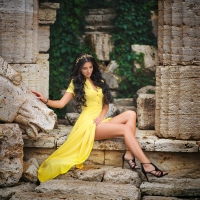 Model in a Yellow Dress