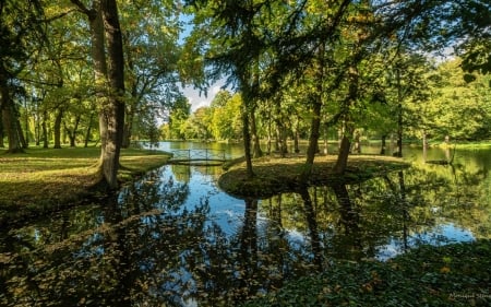 Park in France - France, trees, water, park, bridge