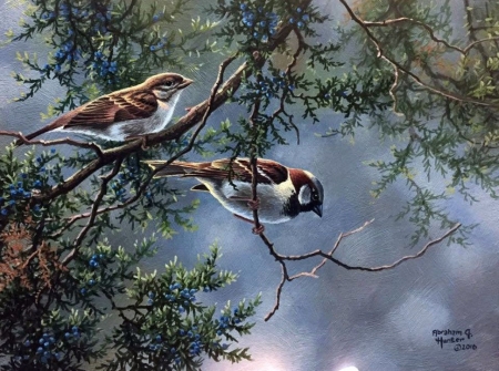 Sparrows - spartow, bird, pasari, pictura, painting, art, abraham hunter