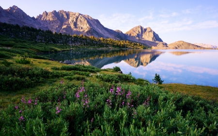 Morning light in the Sierra Nevada