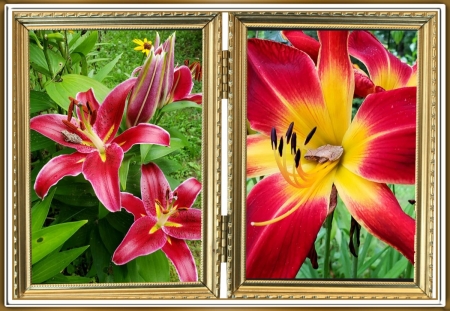 FLOWER COLLAGE - IMAGE, NATURE, FRAMED, FLOWERS