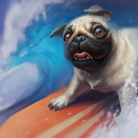 Surfin'Pug