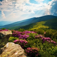 Roan Mountain from Appalachian Trail near Jane's Bald