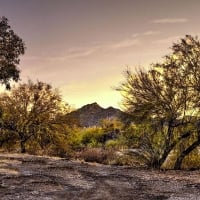 An arroyo roaring after a monsoon storm, deep in the Sonoran Desert