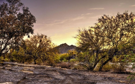 An arroyo roaring after a monsoon storm, deep in the Sonoran Desert - Arizona, trees, sky, mountains, usa