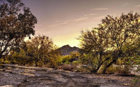 An arroyo roaring after a monsoon storm, deep in the Sonoran Desert - usa, trees, Arizona, mountains, sky