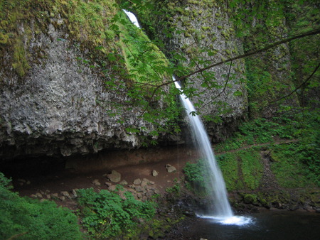 Ponytail Falls - columbia river gorge, forest, waterfall, ponytail falls