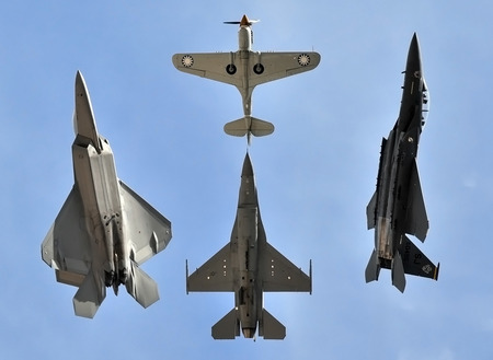 Tiger,Raptor,falcon,eagle