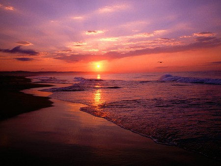 Newport Beach Sunrise California - clouds, aky, beach, beautiful, sea, colors, ocean, waves, sun