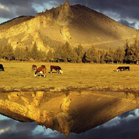 Mountain Reflection Wallpaper