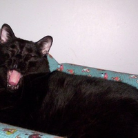 Yaaaawwwnnn!