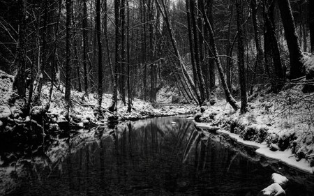 BLACK RIVER - black river, white, forest