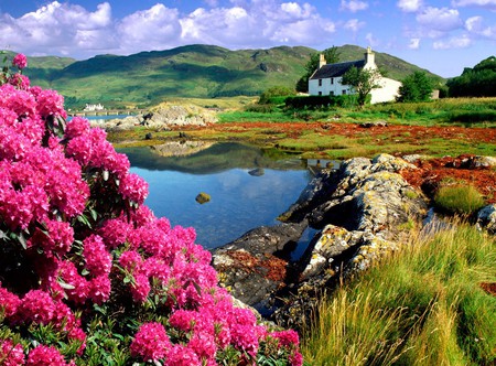 Scotland #1 - house, water, fields, forest, flowers, river, rose, mountains, lakes, castle, sky