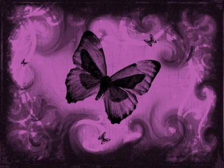 98cd55b8 3 .jpg - purple, butterfly abstract