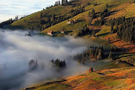 Fog - nature, fog, photography, pejzaze, mountains