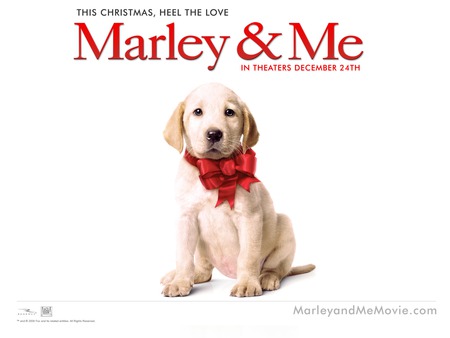 Marley - movies, entertainment, marley