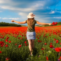 A poppy field and a girl