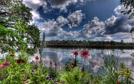 sping on the river - clouds, flowers, plants, river, trees, water