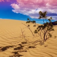 Mesquite Flat Sand Dunes - Death Valley