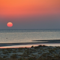 Red Sea - Egypt