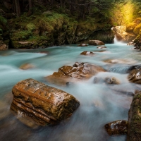 Where the fairies live, interior British Columbia