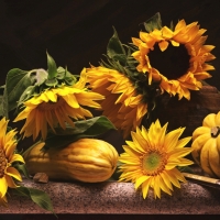 Still life with Sunflowers