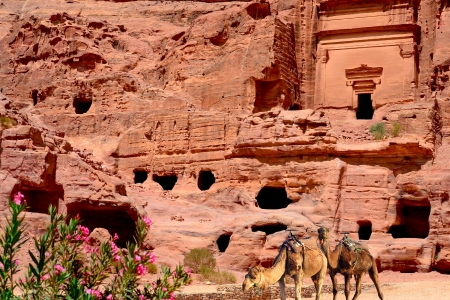 The Nabataean Tombs, Petra, Jordan - camels, architecture, tombs, jordan, ancient