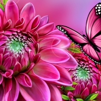 Flower and butterfly