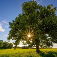 Summer in Germany