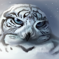 Tiger owl