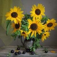 Sunflowers