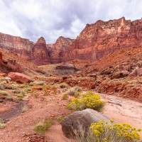 Vermillion Cliffs National Monument, Arizona