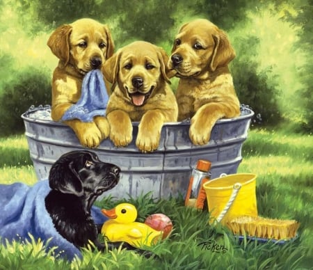 Bath time - duck, summer, bath, dog, toy, pictura, painting, caine, puppy, art, vara