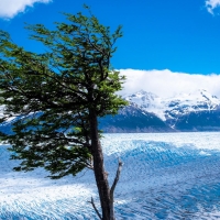 Grey Glacier, Torres del Paine National Park, Chile