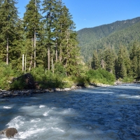 Hoh River, Olympic National Park, Washington