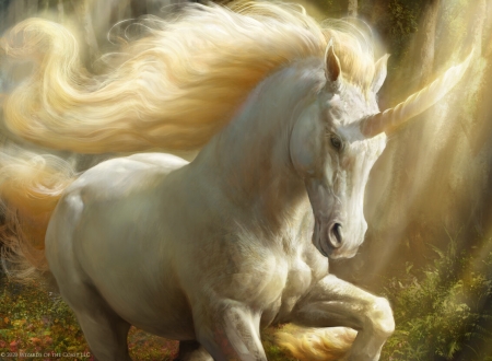 Unicorn - white, fantasy, art, antonio j manzanedo, unicorn, luminos
