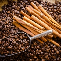 Coffee Beans