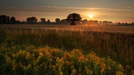 Morning Sunrise - Nature, sky, Sunrise, Morning