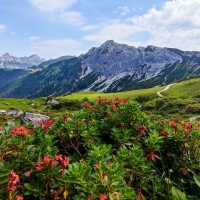 Tannheimer Valley, Tirol, Austria