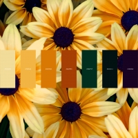 Flowers color palette