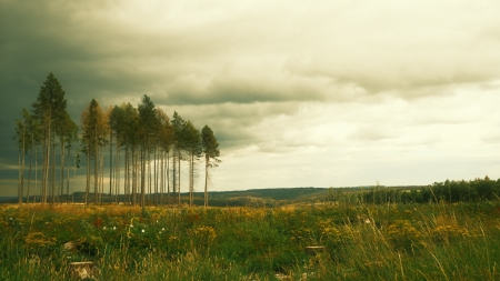 Landscape - landscape, nature, tree, sky