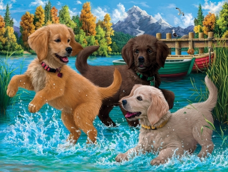 Puppies make a splash - fun, pond, puppies, sweet, three, joy, pier, boats, river, countryside, cute, friends, adorable, lake, art