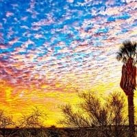 Sunset in the Sonora, Arizona