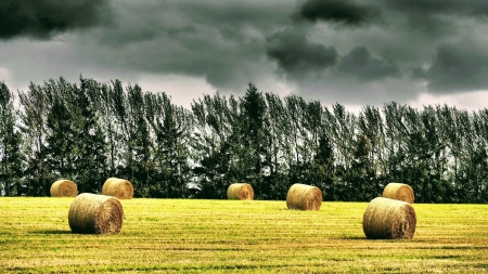 Haystack - landscape, nature, tree, Haystack