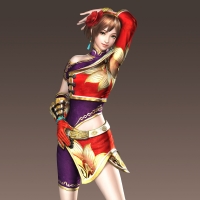 Dynasty Warriors