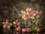 Apple tree in a glass